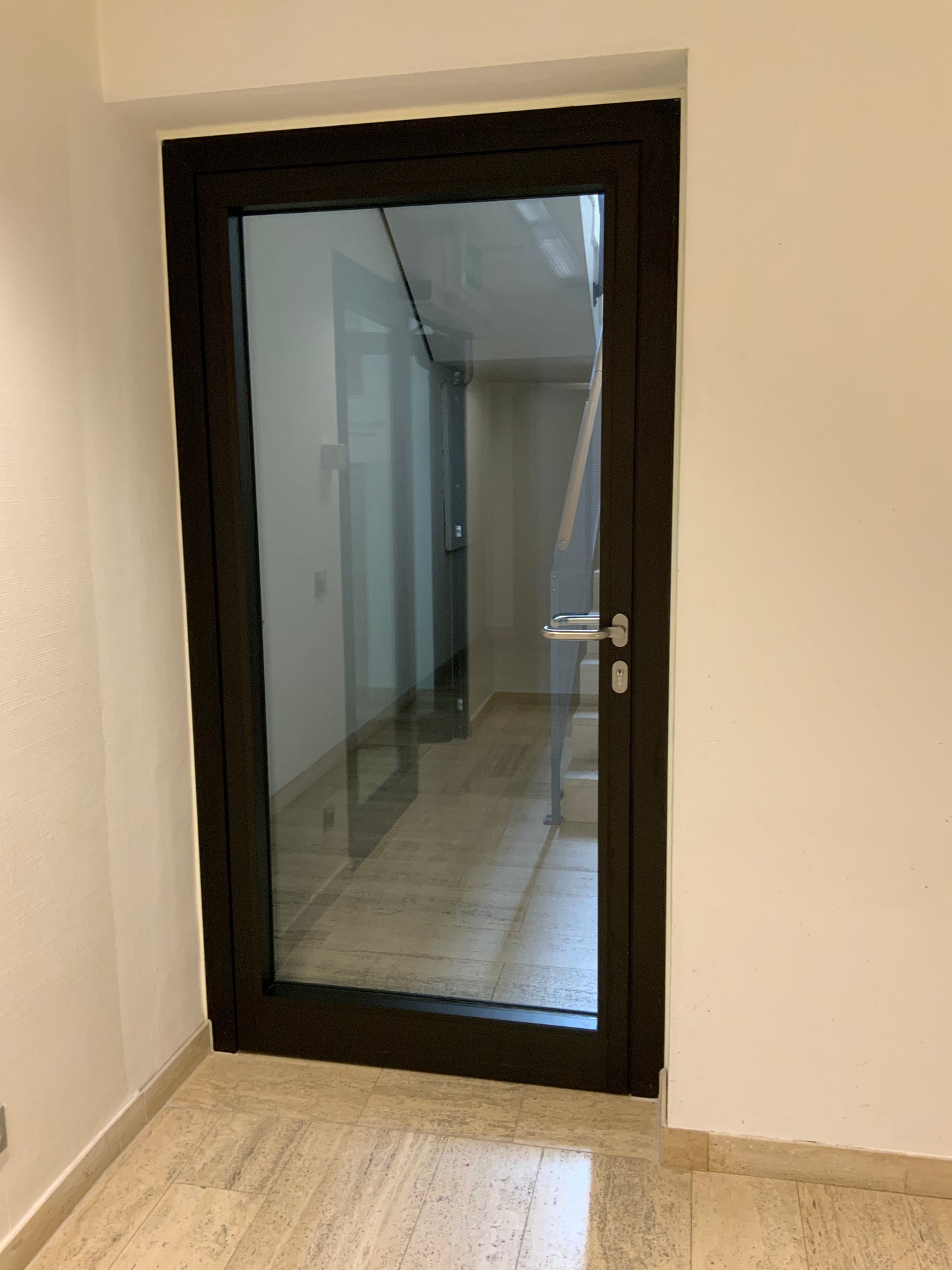 Brandschutztüre aus Glas T30-1-RS-FSA B111.5 H209.5