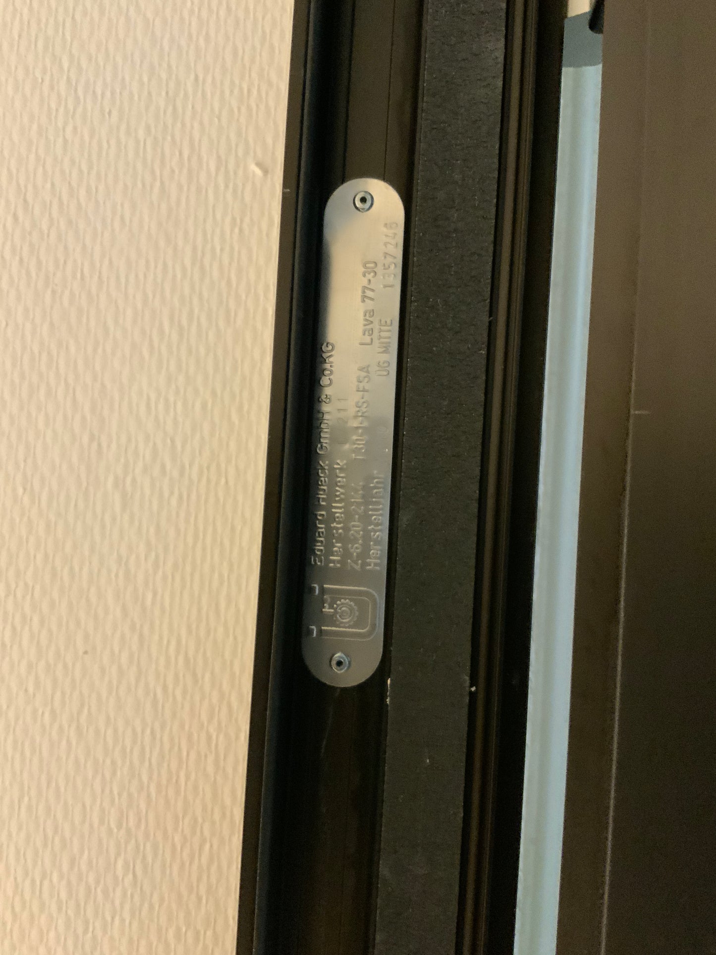 Brandschutztüre aus Glas T30-1-RS-FSA B111.5 H209.5