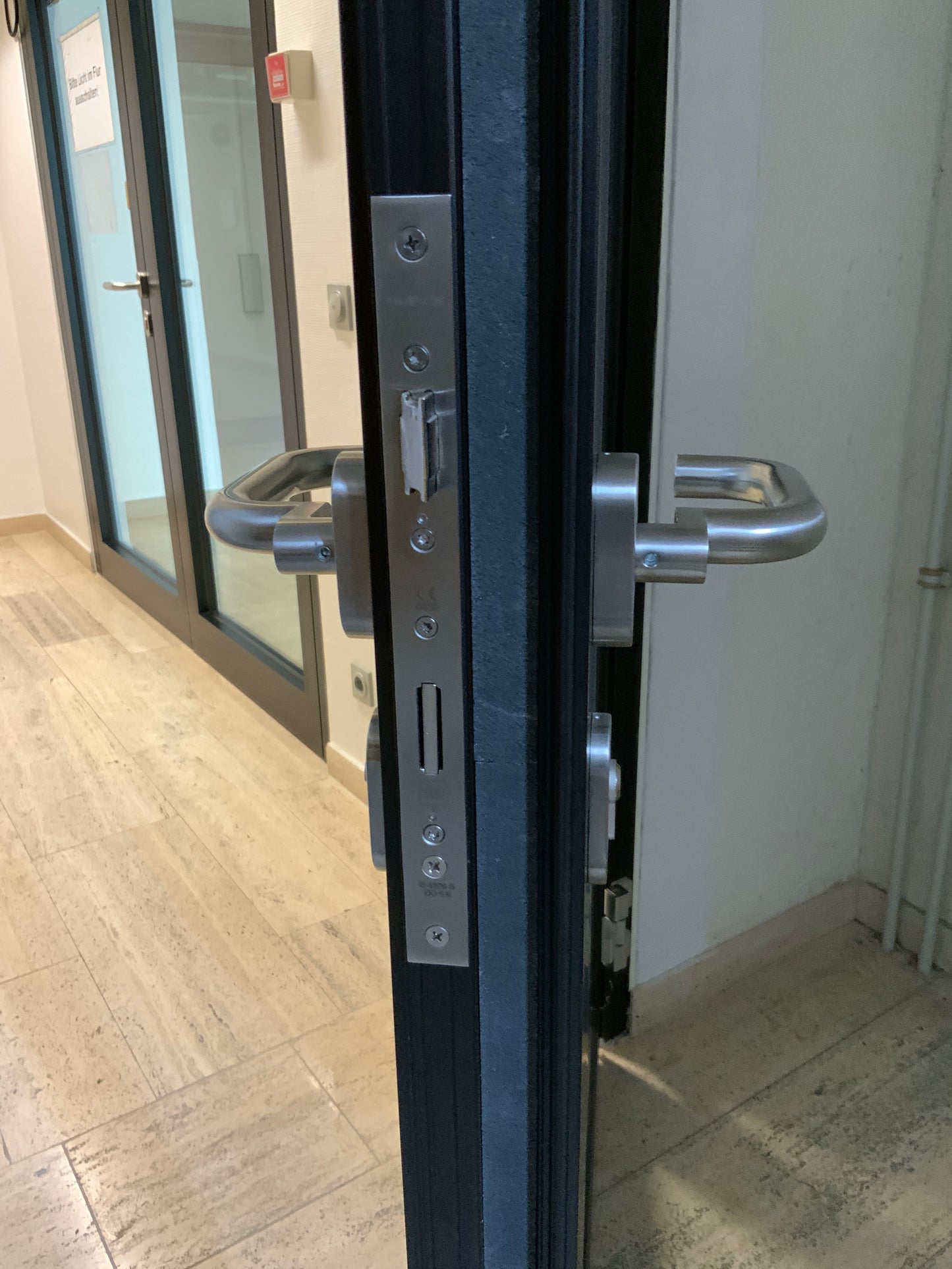 Brandschutztüre aus Glas T30-1-RS-FSA B111.5 H209.5