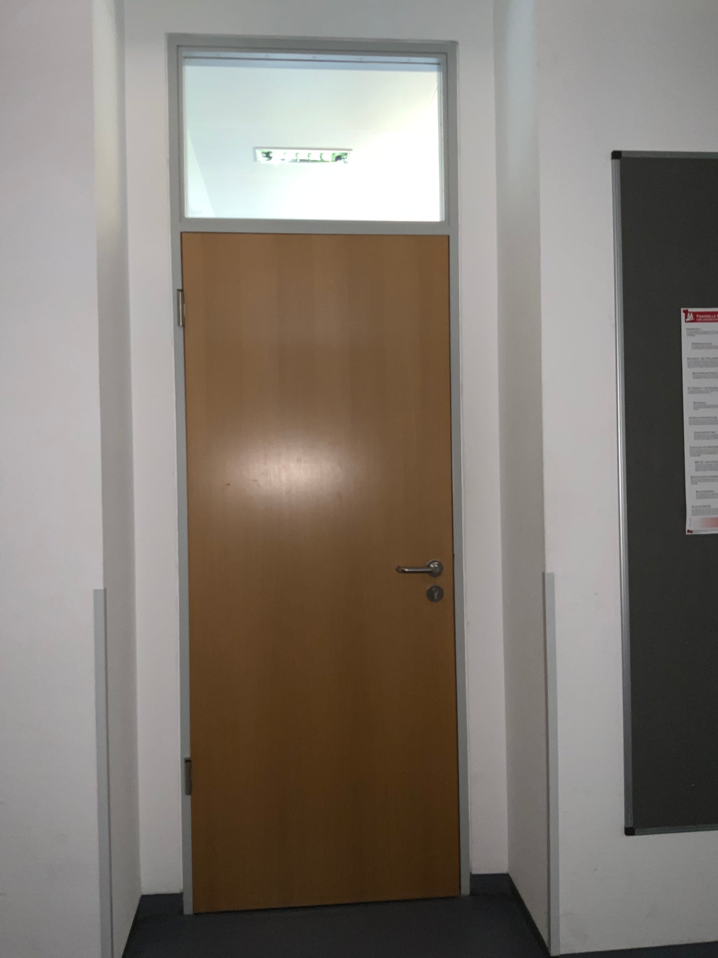Tür mit Oberlicht und Umfassungszarge H272.5 B 89.5