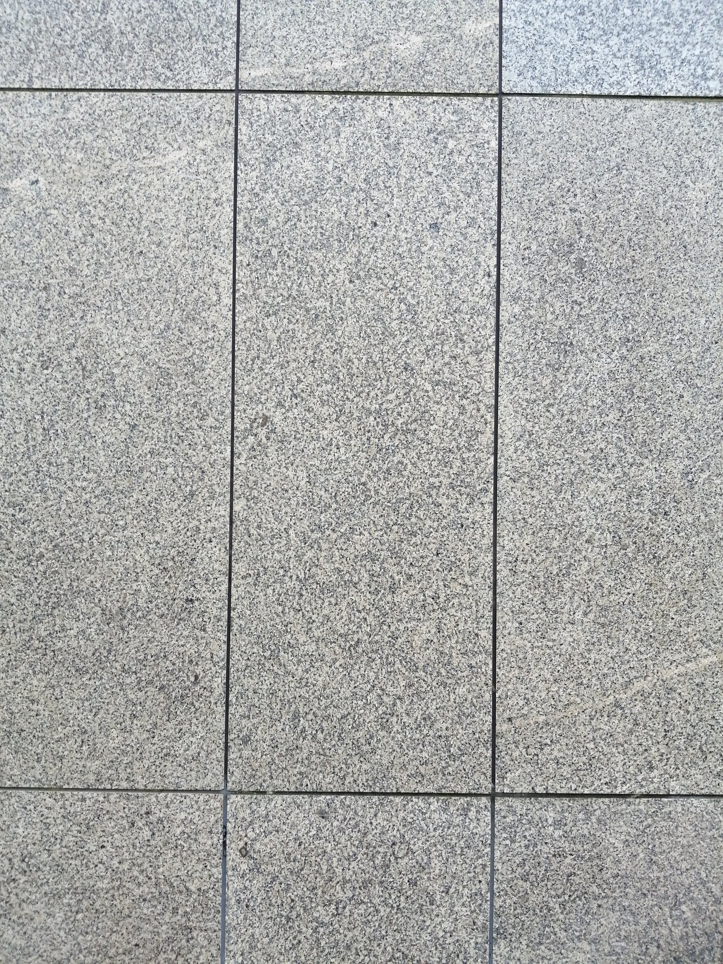 Granitstein Bianco Sardo Fassadenplatten 84 cm Länge