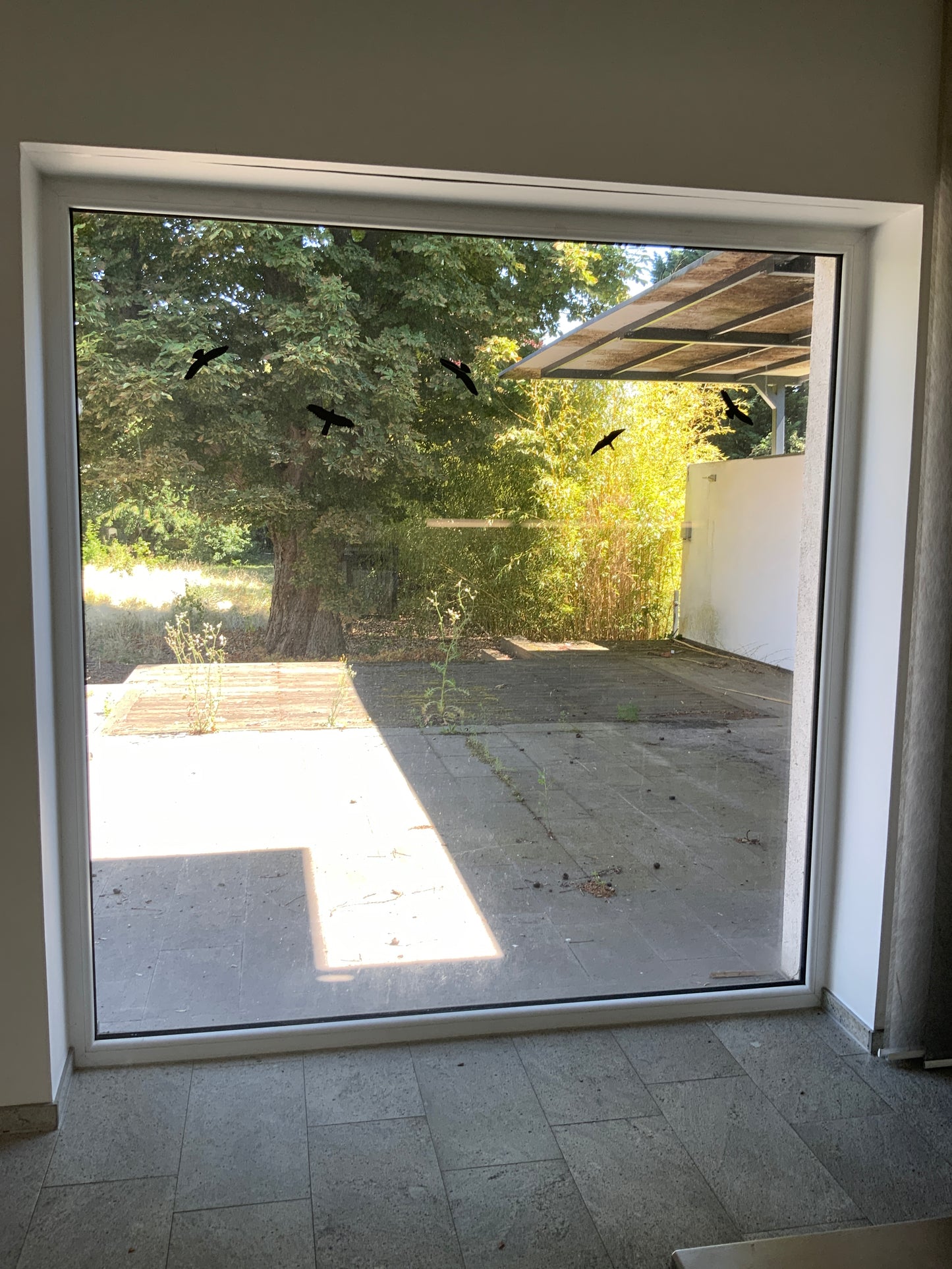 Verglasung - zweifach - Isolierglas 2296 x x2394 mm