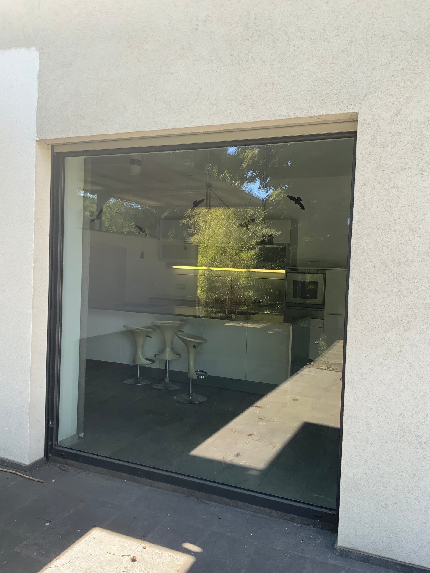Verglasung - zweifach - Isolierglas 2296 x x2394 mm