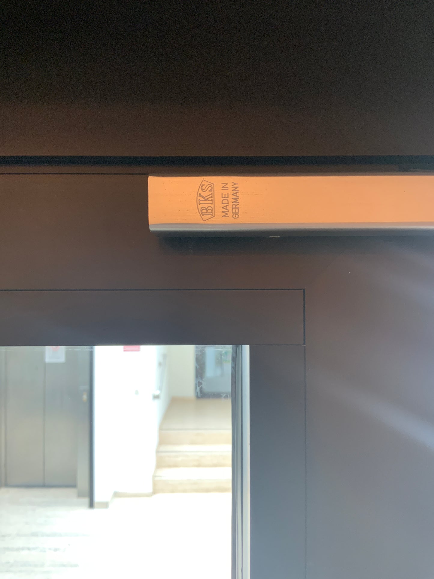 Doppelflügelige Glastür Hueck B233 H228.5