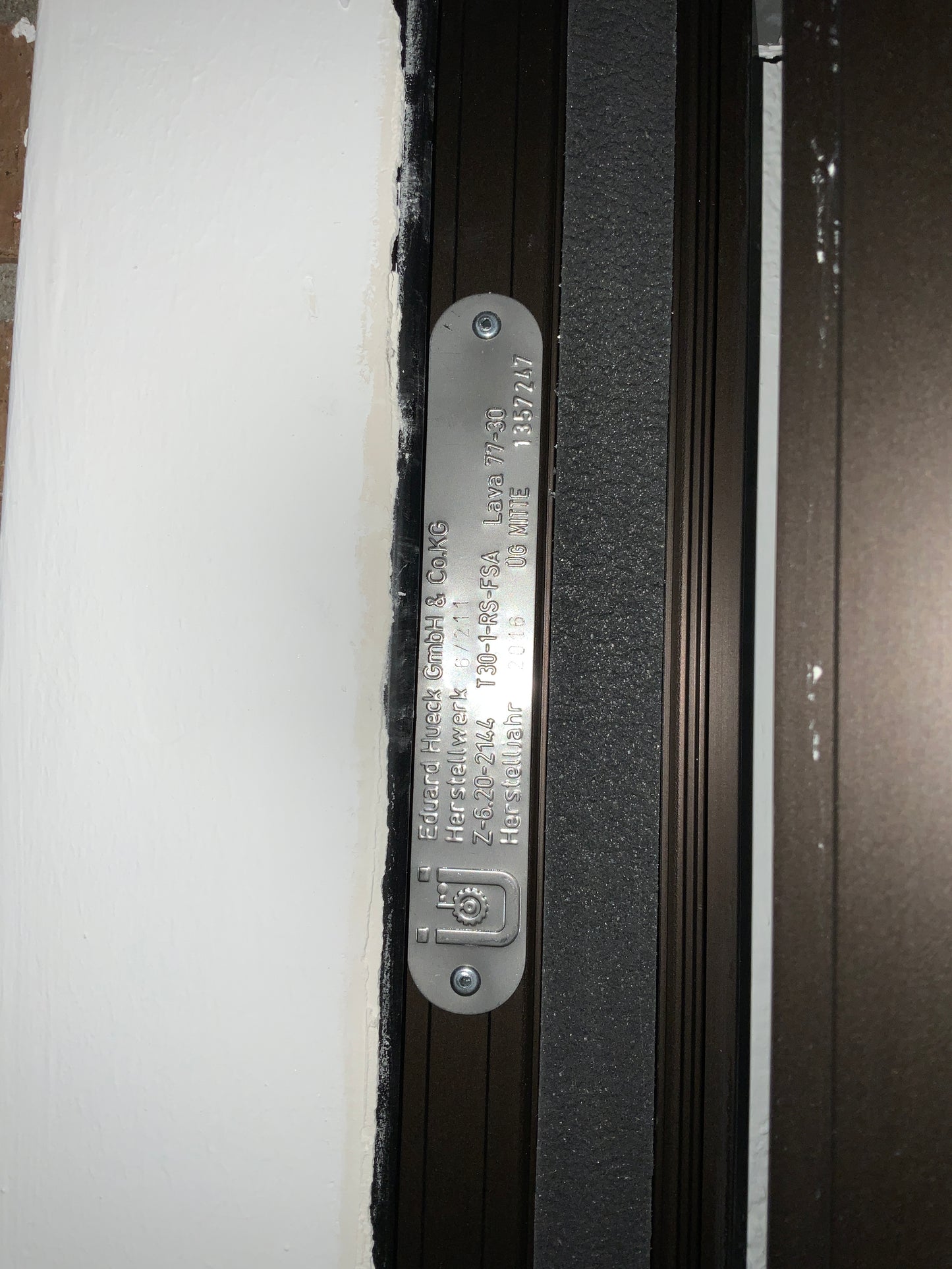 Brandschutzür Glas T30-1-RS-FSA B124 H245 DIN R