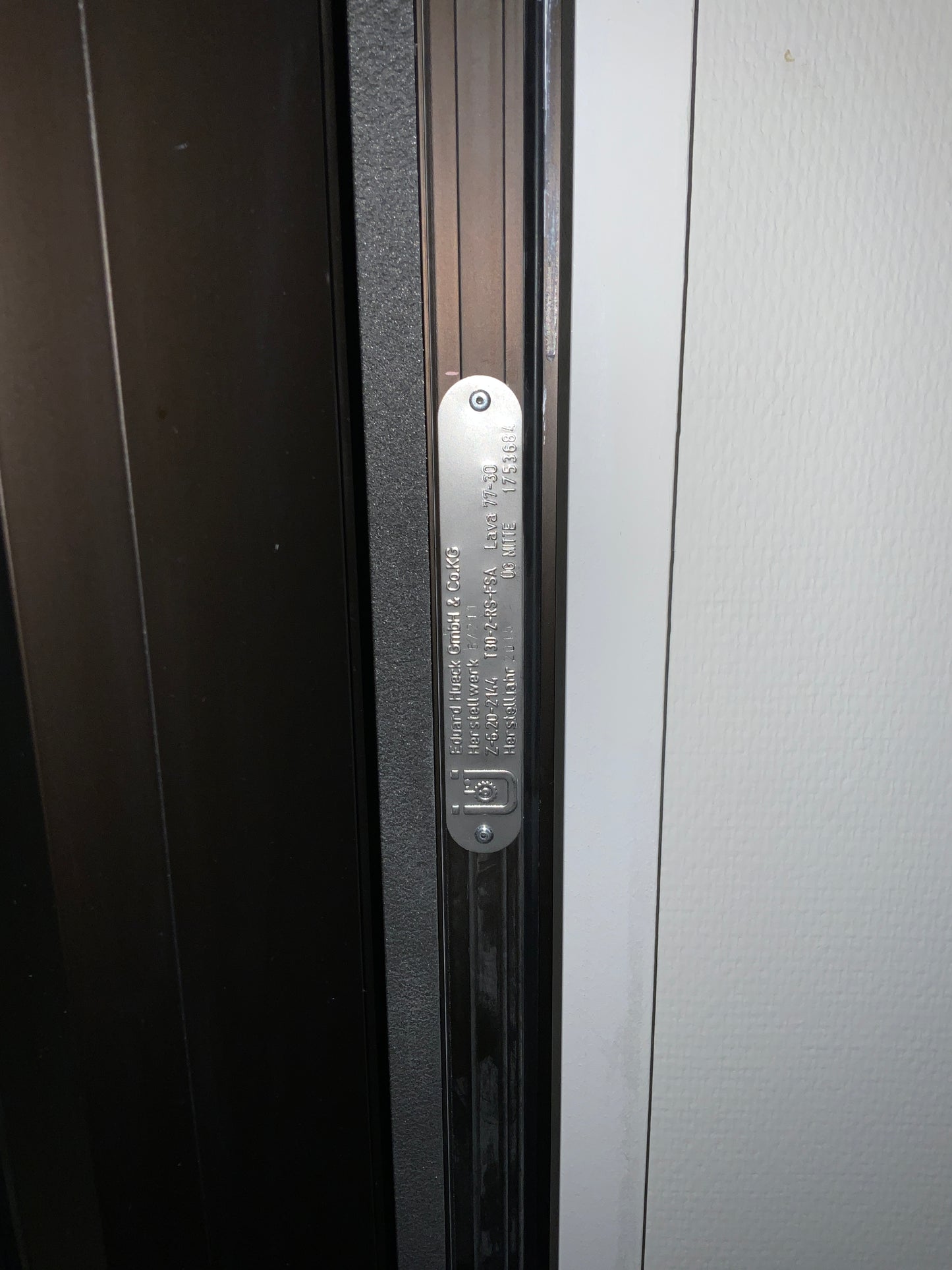 Doppelflügelige Brandschutztür Glas T30-2-RS-FSA B201 H209