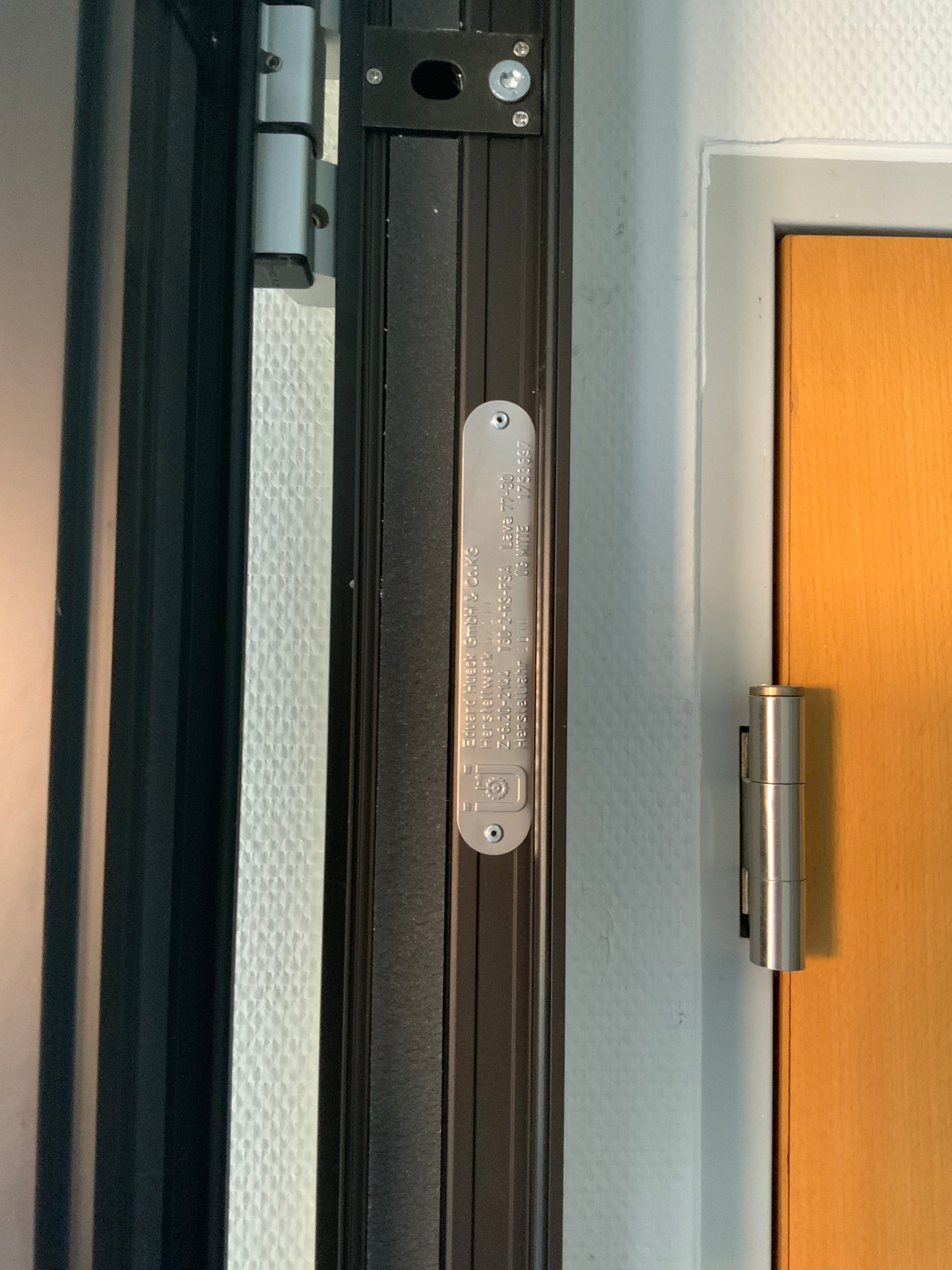 Doppelflügelige Brandschutztür Glas T30-2-RS-FSA B220 H240