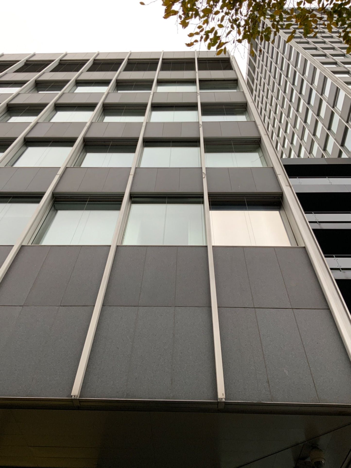 Natursteinfassade 560x1540x30