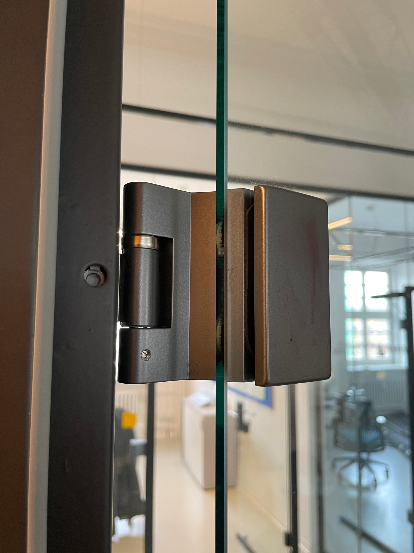 Glastür DORMAKABA 206x92 cm (ohne Zarge)