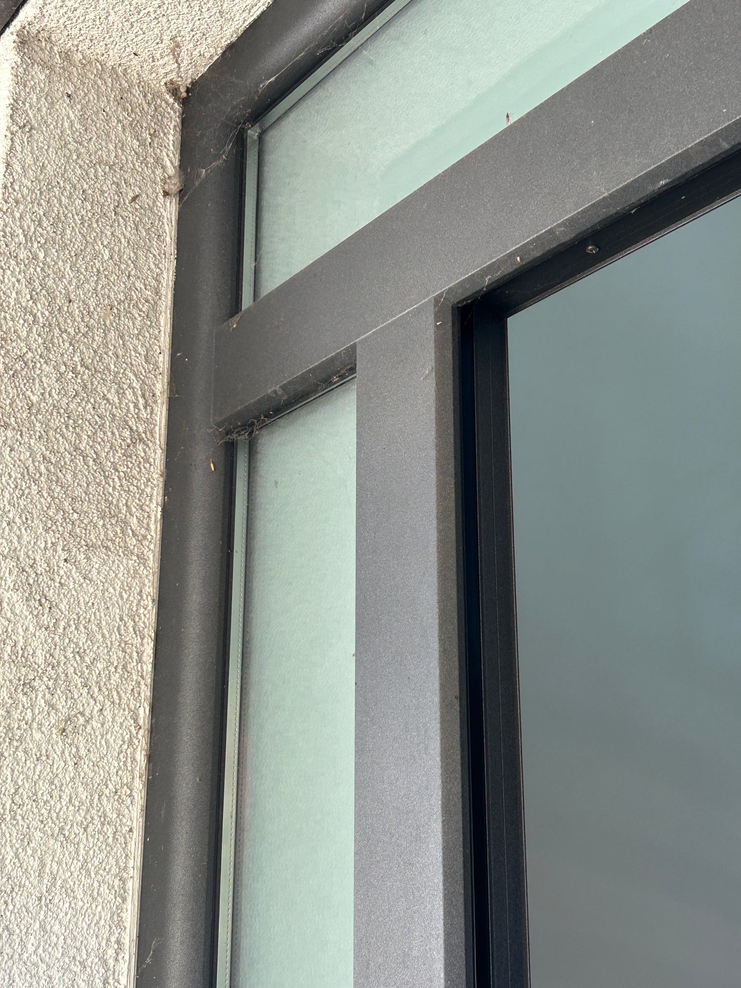 Schueco Aussentür Aluminium mit Verglasung 1664 x 2488 x 85 mm
