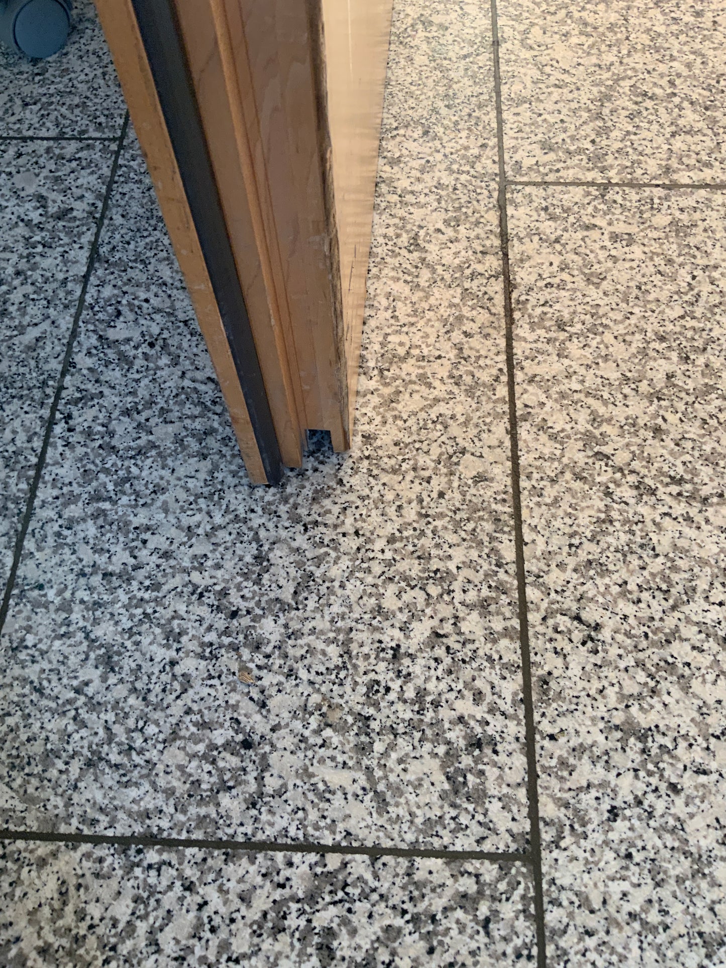 Tür/Türanlage - 2-flügelig - DIN L - Holz/Glas 200x234x7.5cm