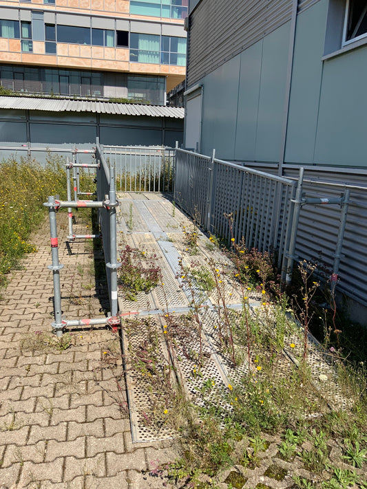 Rampe - Stahl 1620x560x8200mm