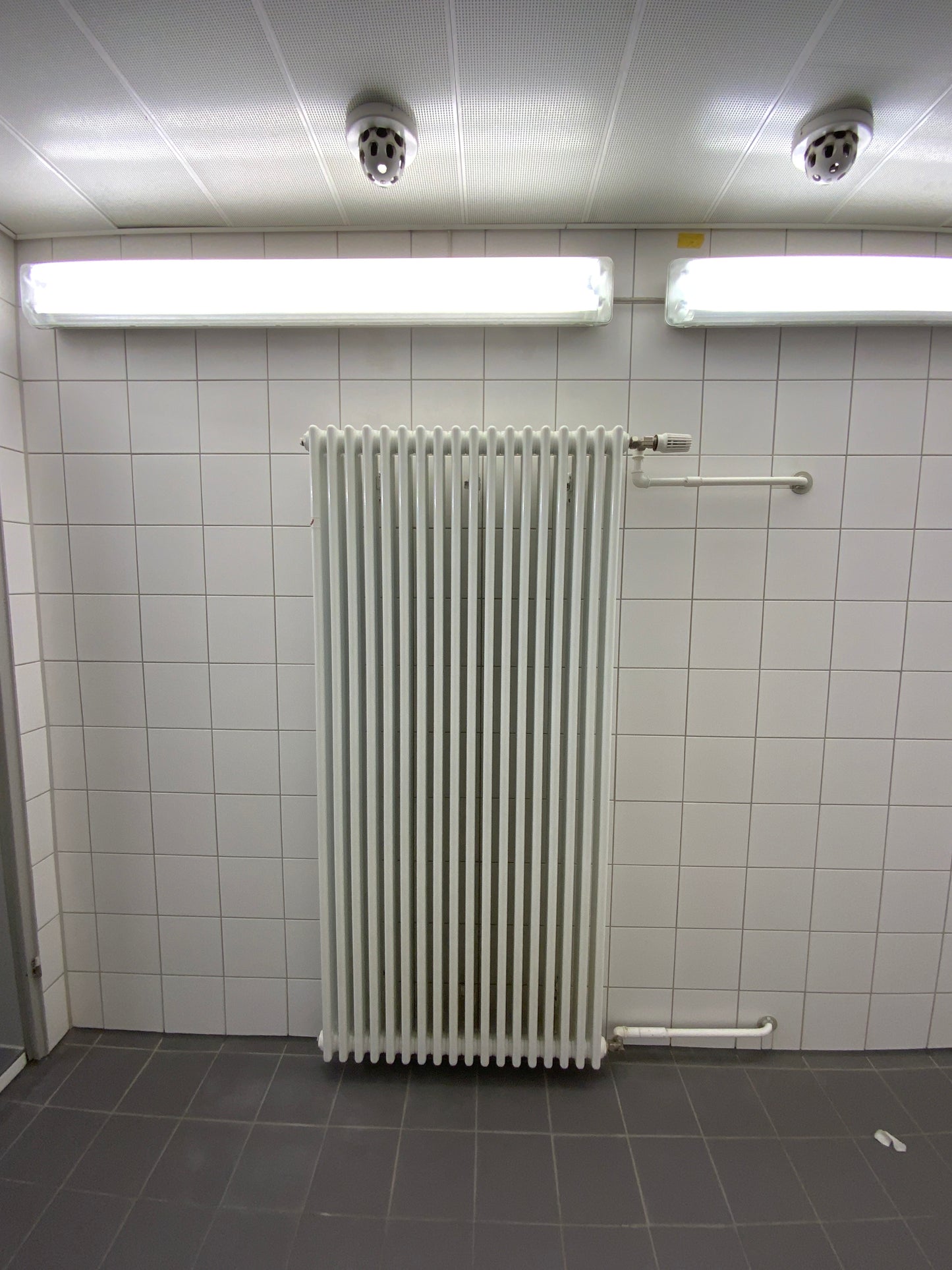 Zehnder 3 Säulen-Heizkörper - Stahl 80x180x10 cm