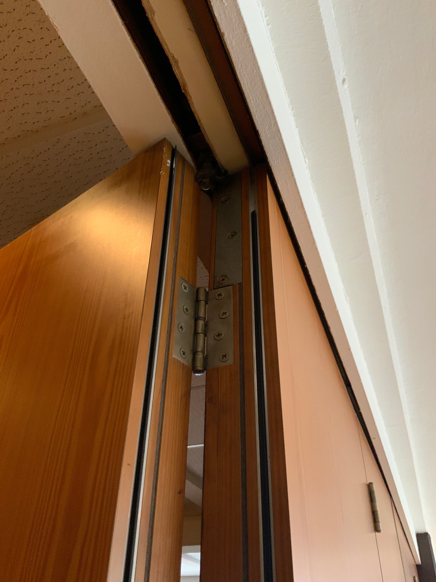 Mobile Trennwand mit integrierter Tür B461.1 H234.4, faltbar