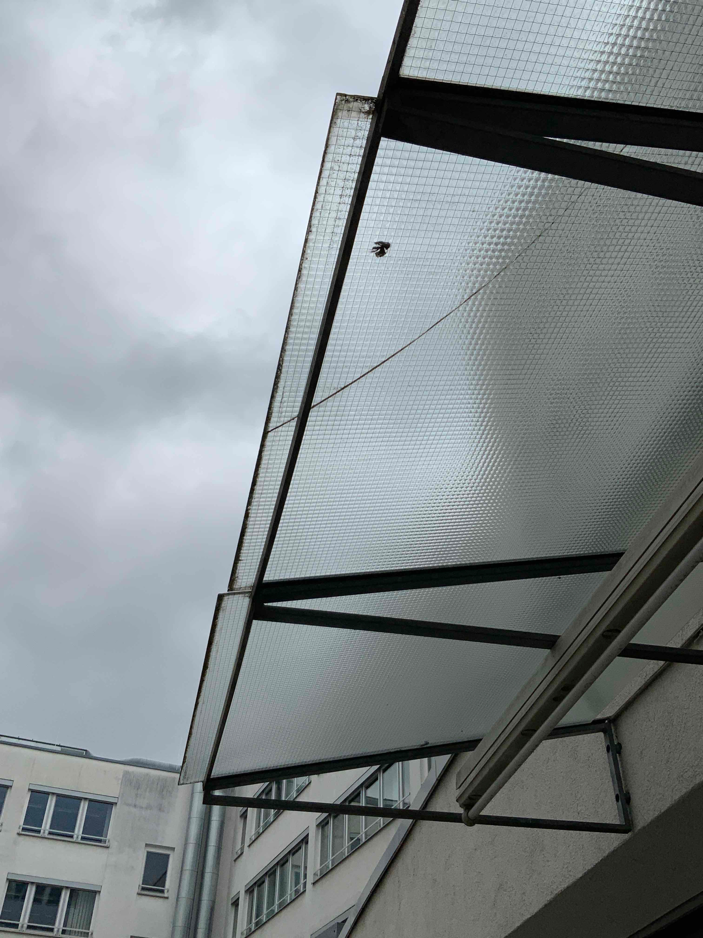 image6