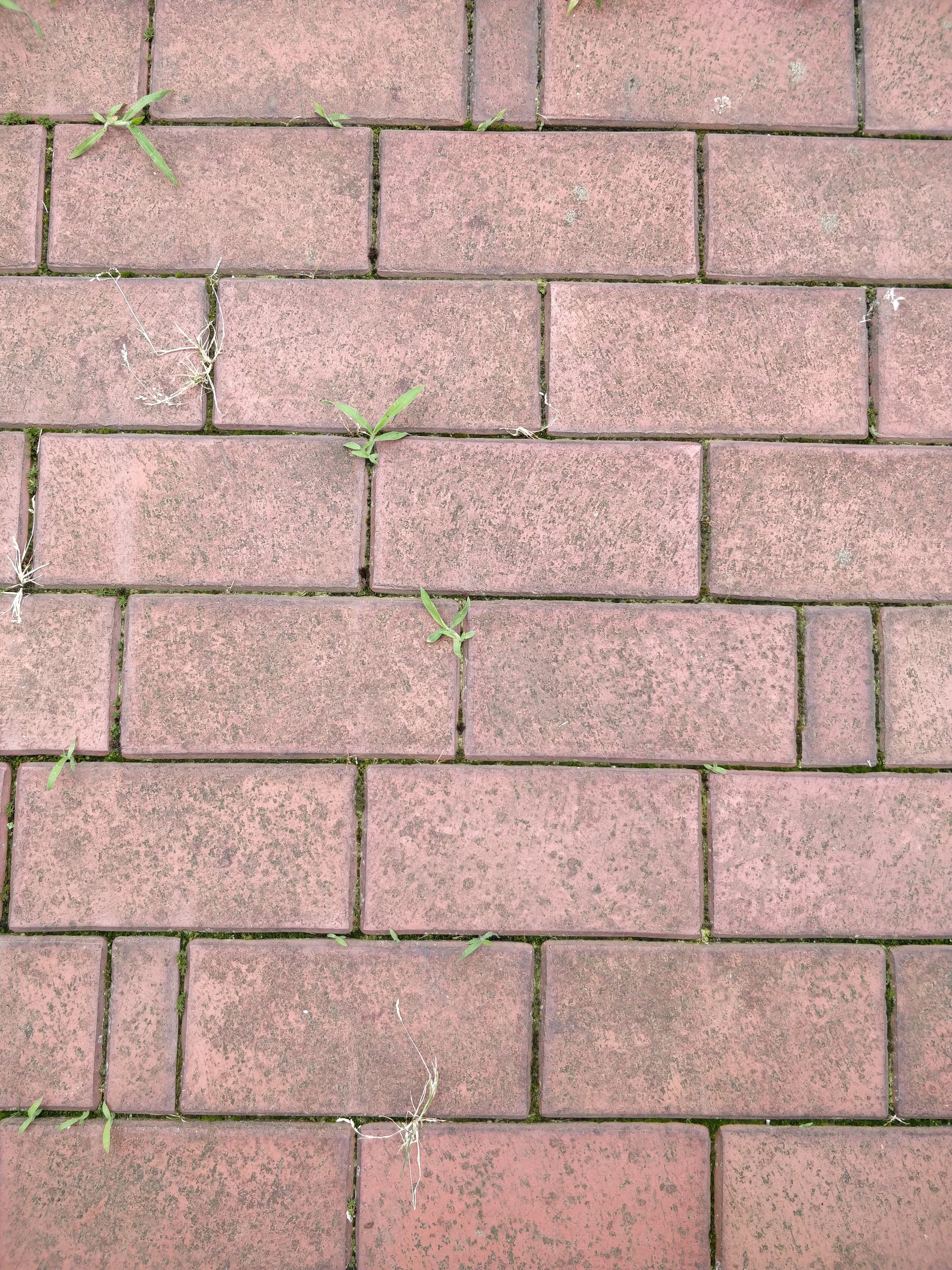 Ziegel Terrassenbelag - Concular - Gebrauchte Baumaterialien kaufen