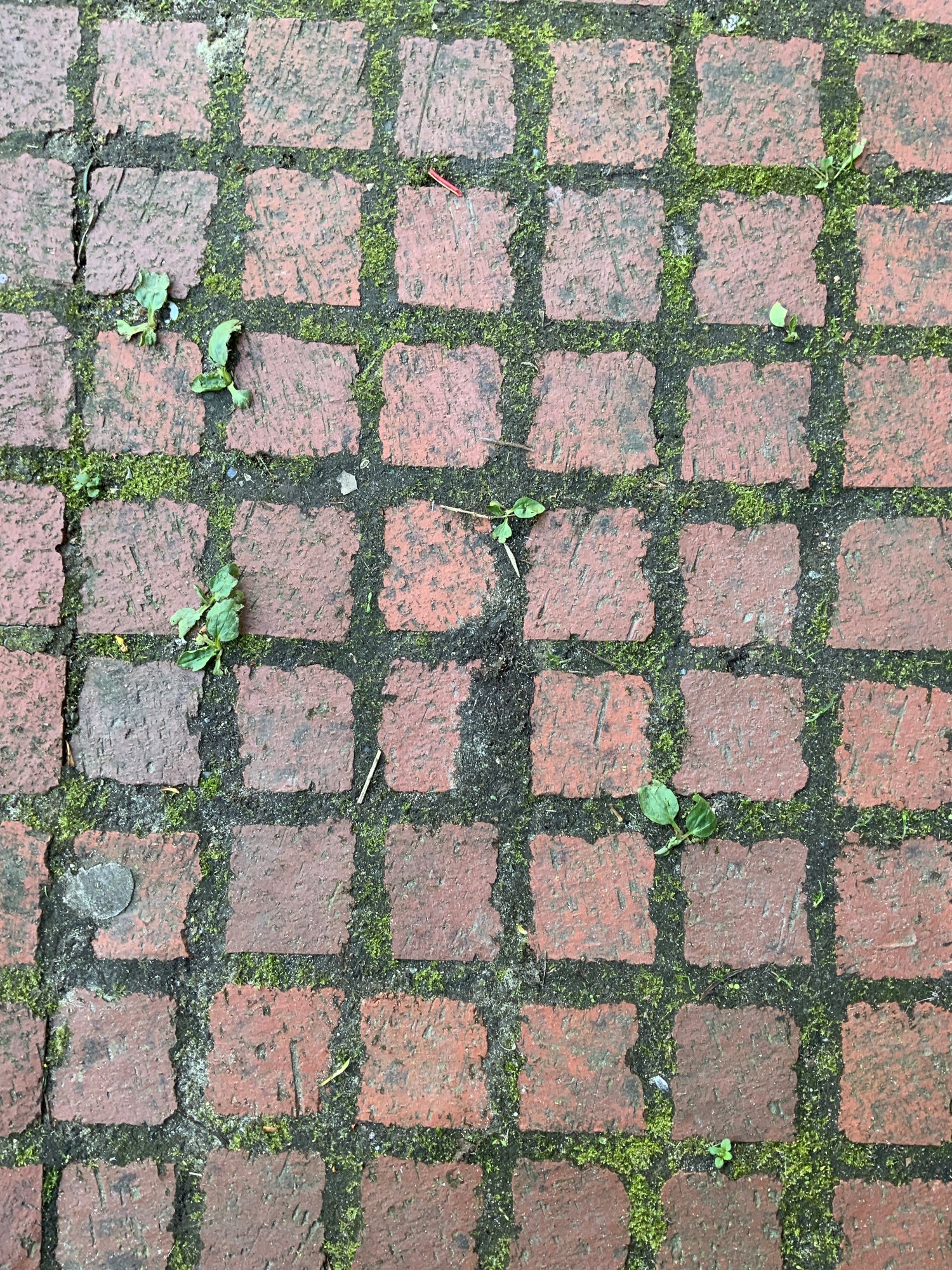 Naturstein & Pflaster