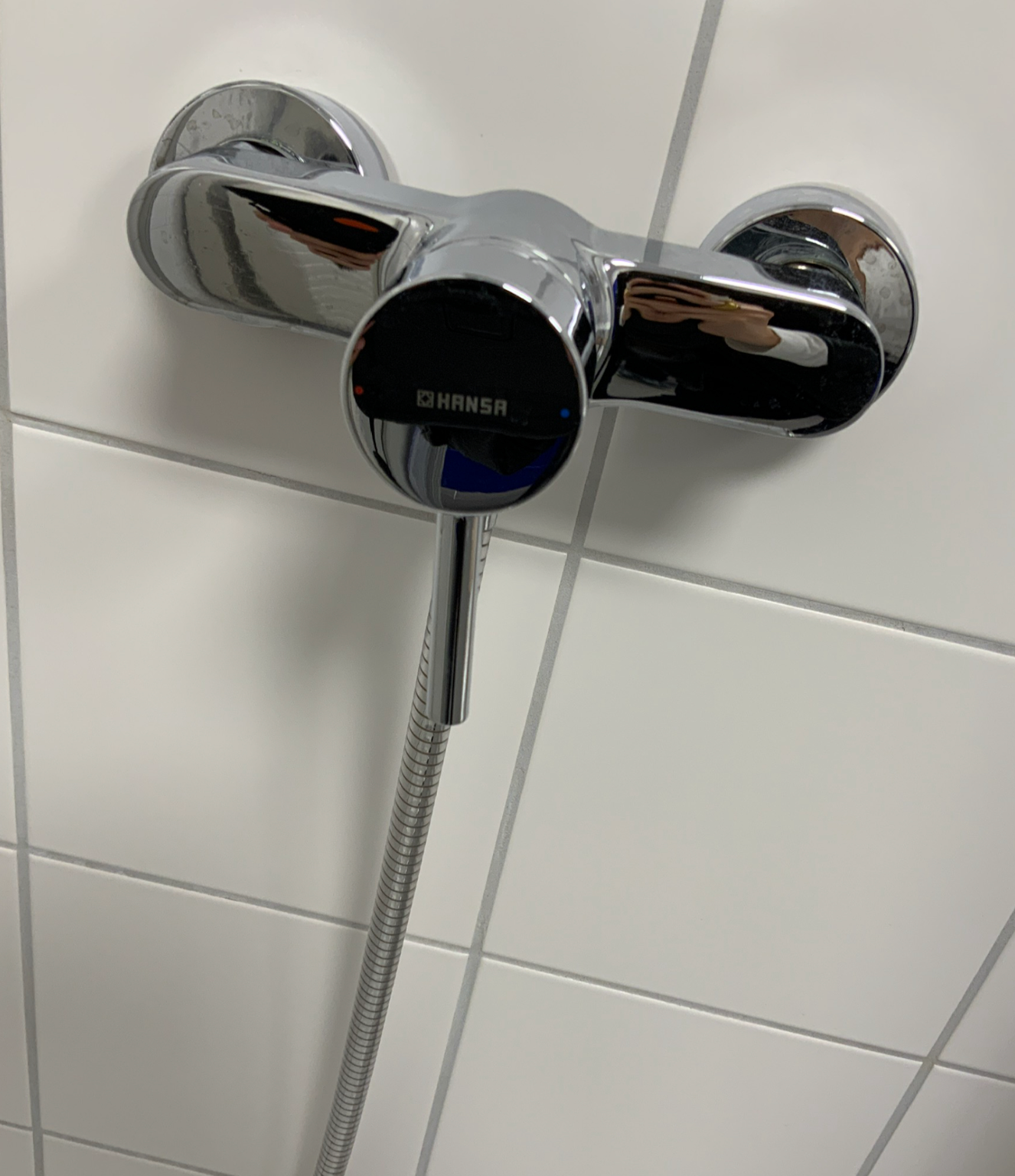 HANSA Duschbrause - Metall