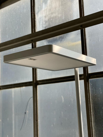 Tageslichtlampe Waldmann Stehleuchte Ataro LED