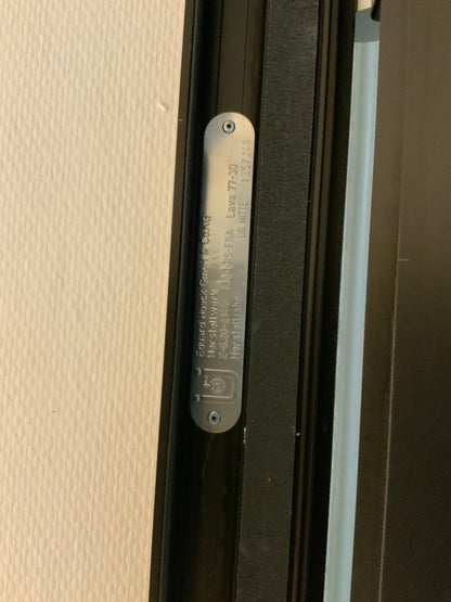 Brandschutztüre aus Glas T30-1-RS-FSA B111.5 H209.5