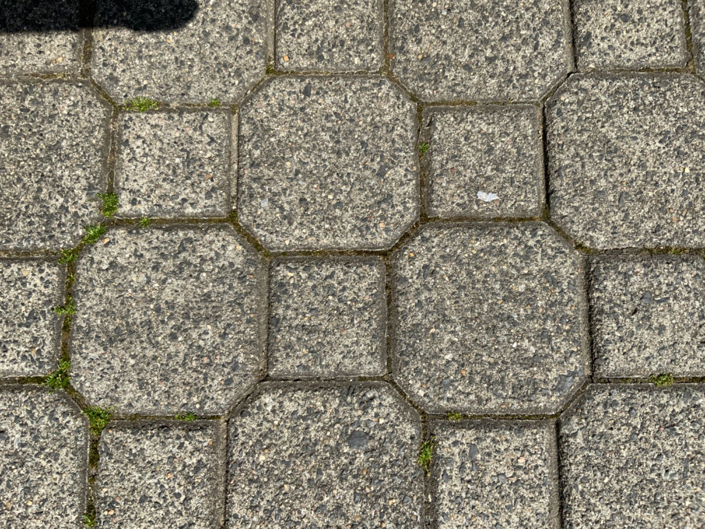 image1
