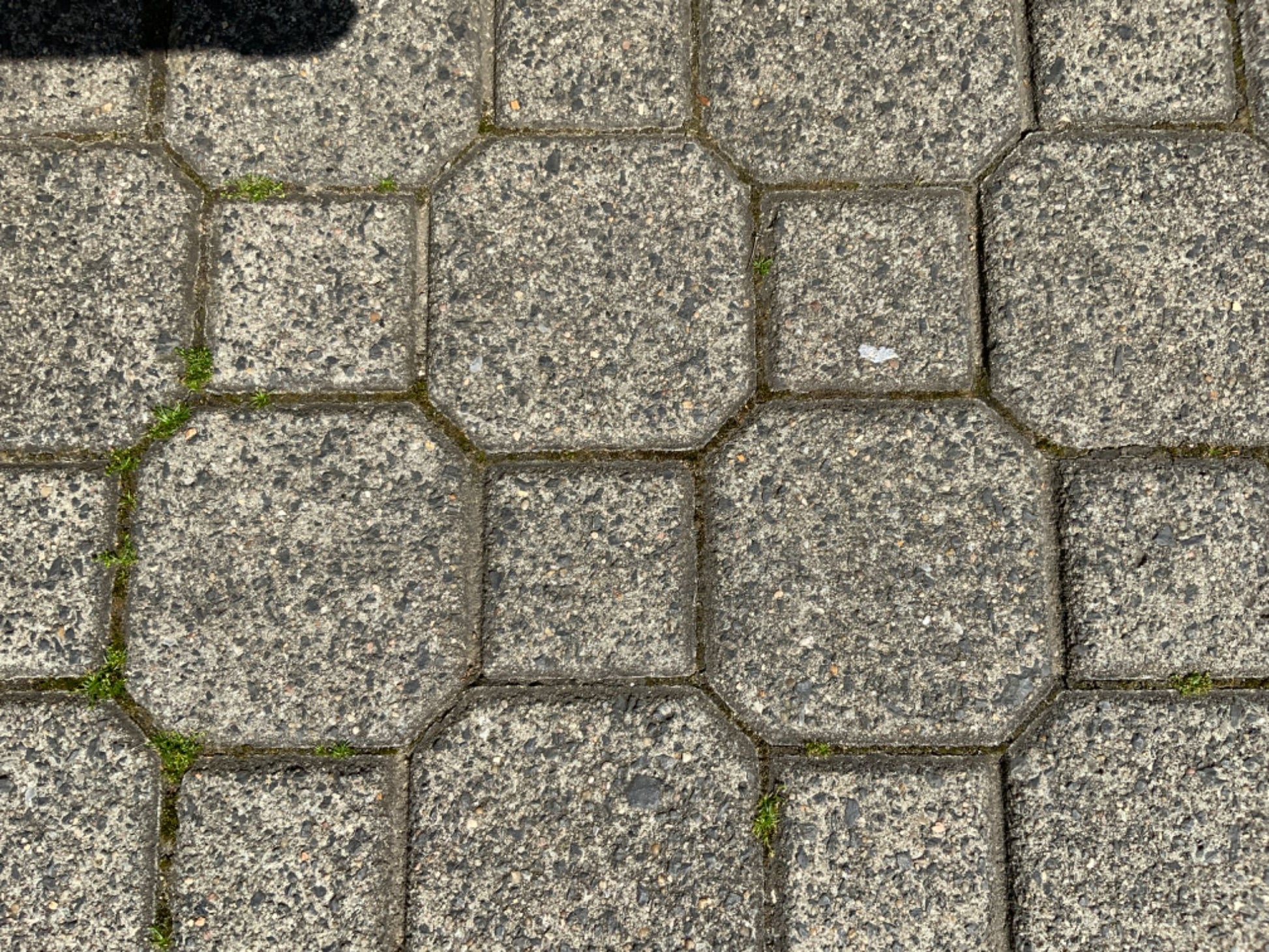 image1