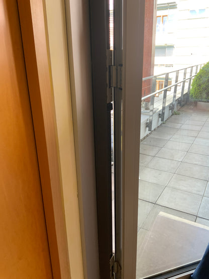 SCHÜCO Tür/Türanlage - Aluminium/Glas - DIN R 120x259x7.5cm