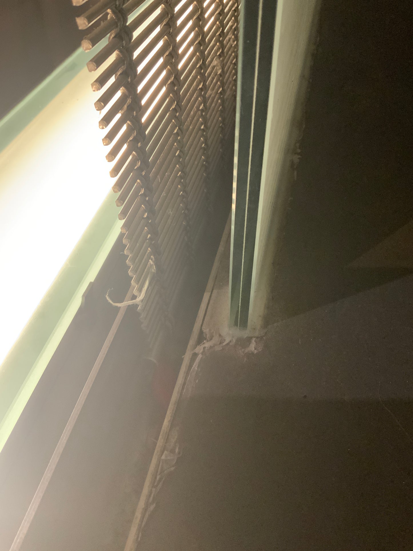 Ganzglasscheibe - Glas H 300cm