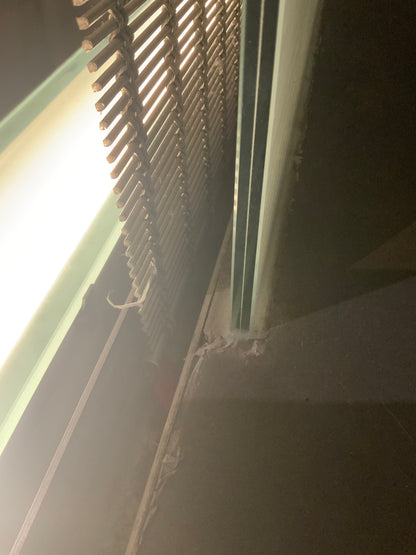 Ganzglasscheibe - Glas H 300cm