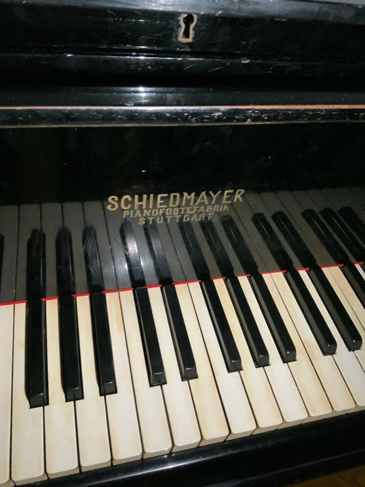 SCHMIEDMAYER - Flügel