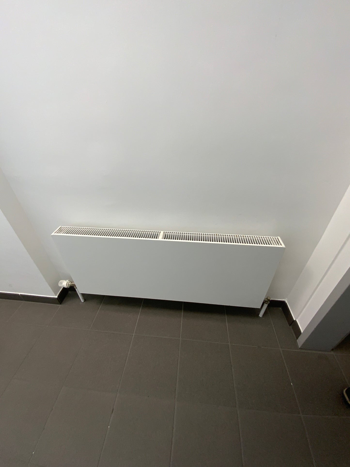 Delonghi Heizkörper - Stahl 120x59x8.5 cm