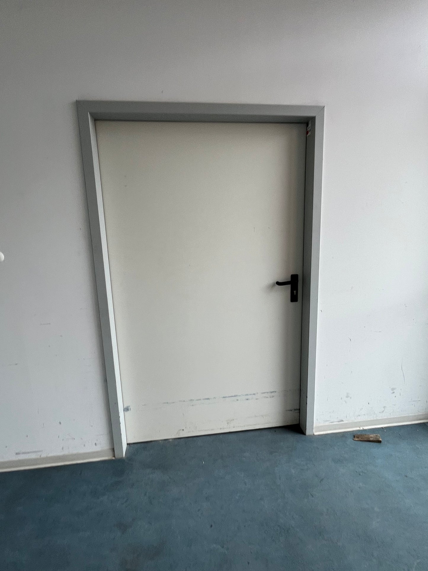DEMOFERM BS-Tür/Türanlage - T30-1-RS-FASA - innen - Stahl - DIN R - 125x201x11.5cm