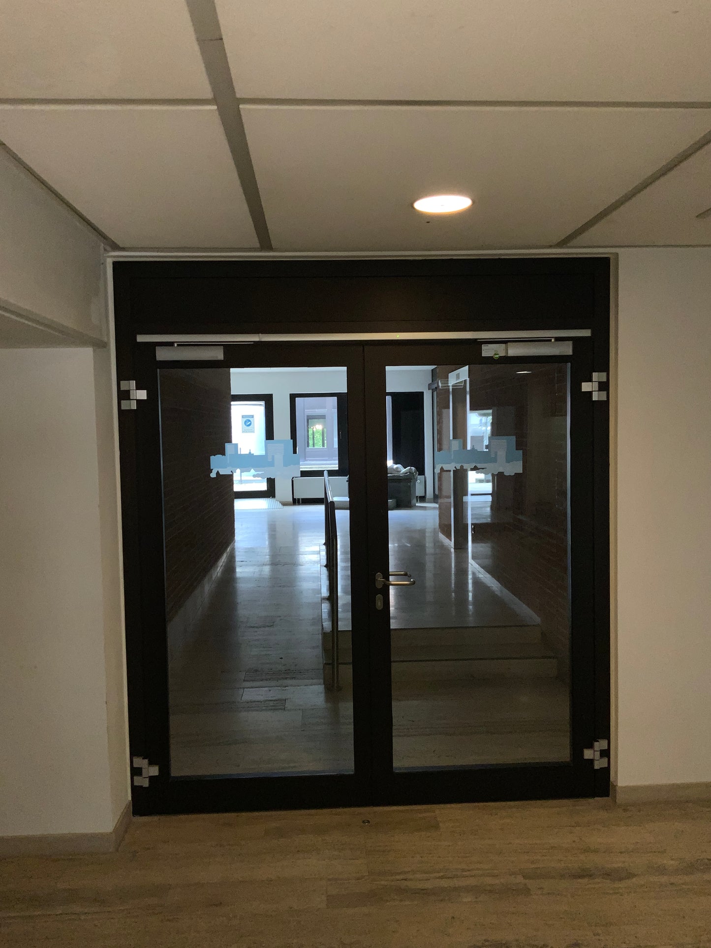 Doppelflügelige Brandschutztür Glas T30-2 RS-FSA B222.5 H250