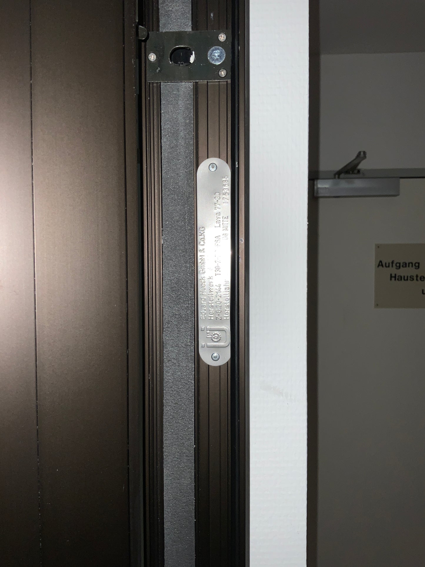 Doppelflügelige Brandschutztür Glas T30-2 RS-FSA B222.5 H250