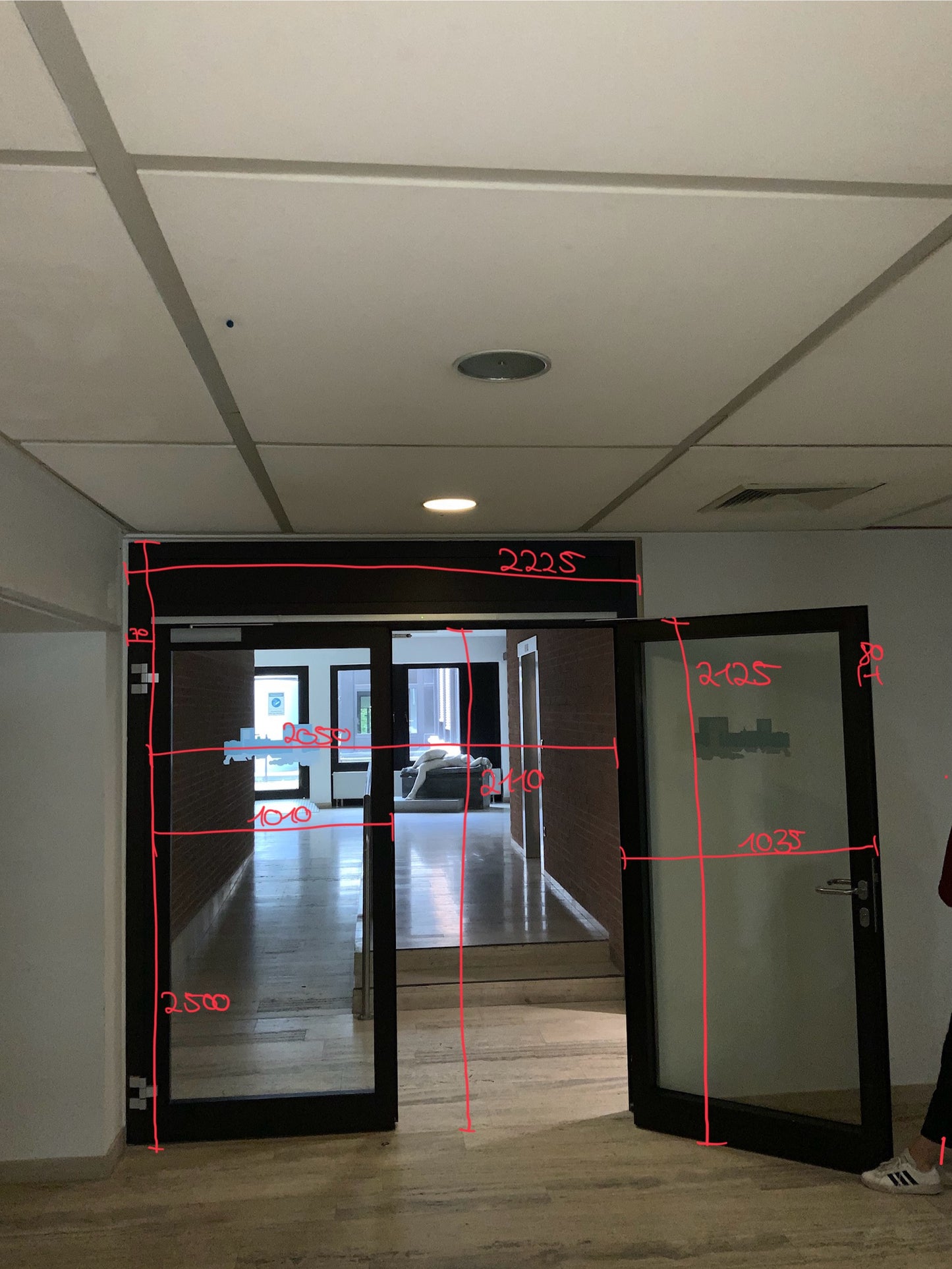 Doppelflügelige Brandschutztür Glas T30-2 RS-FSA B222.5 H250