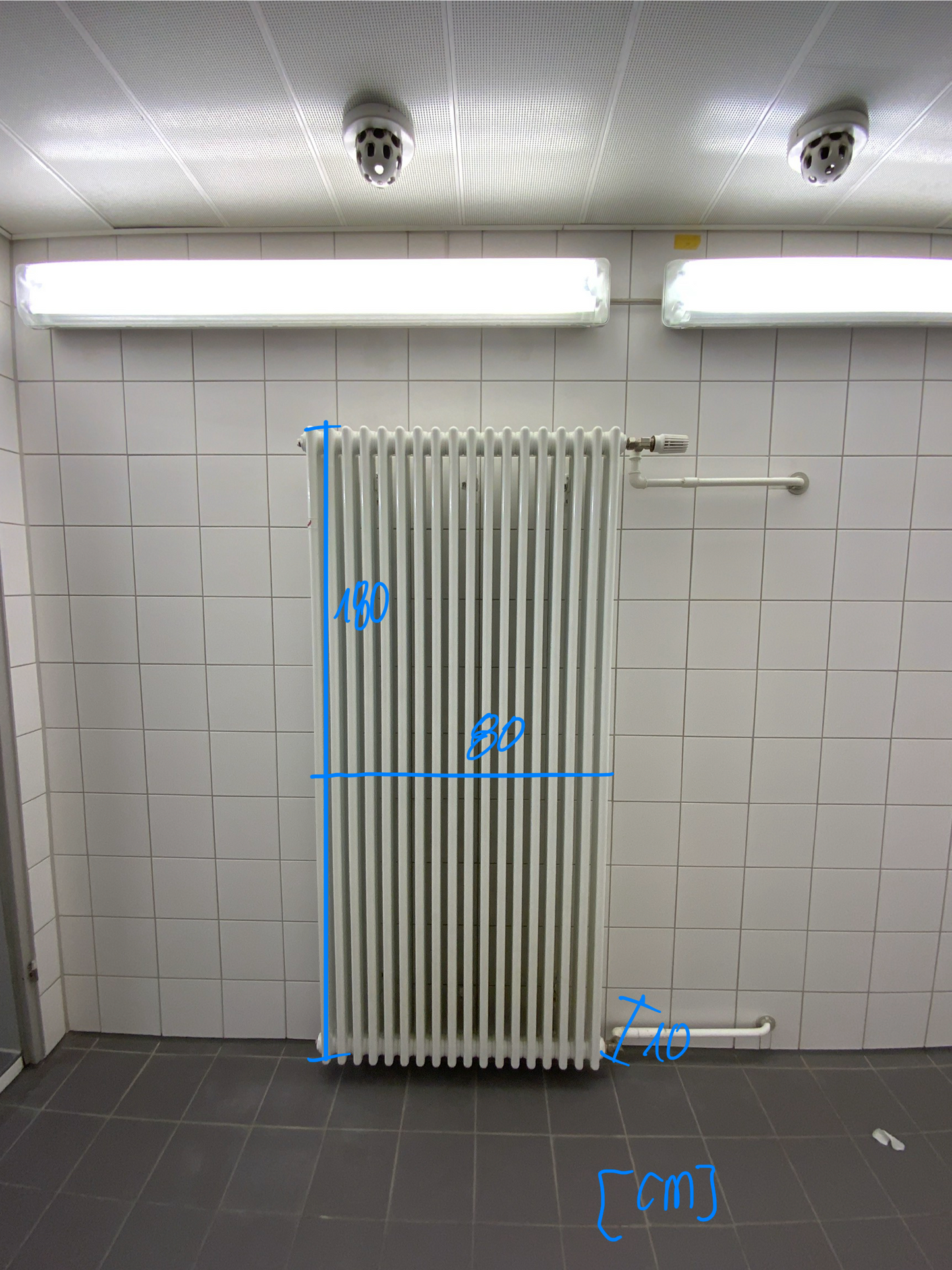 Zehnder 3 Säulen-Heizkörper - Stahl  80x180x10 cm