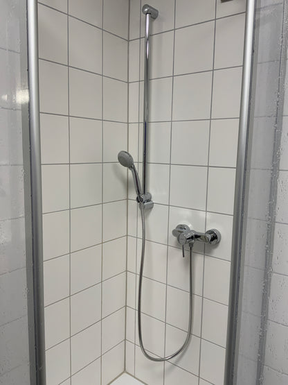 HANSA Duschbrause - Metall