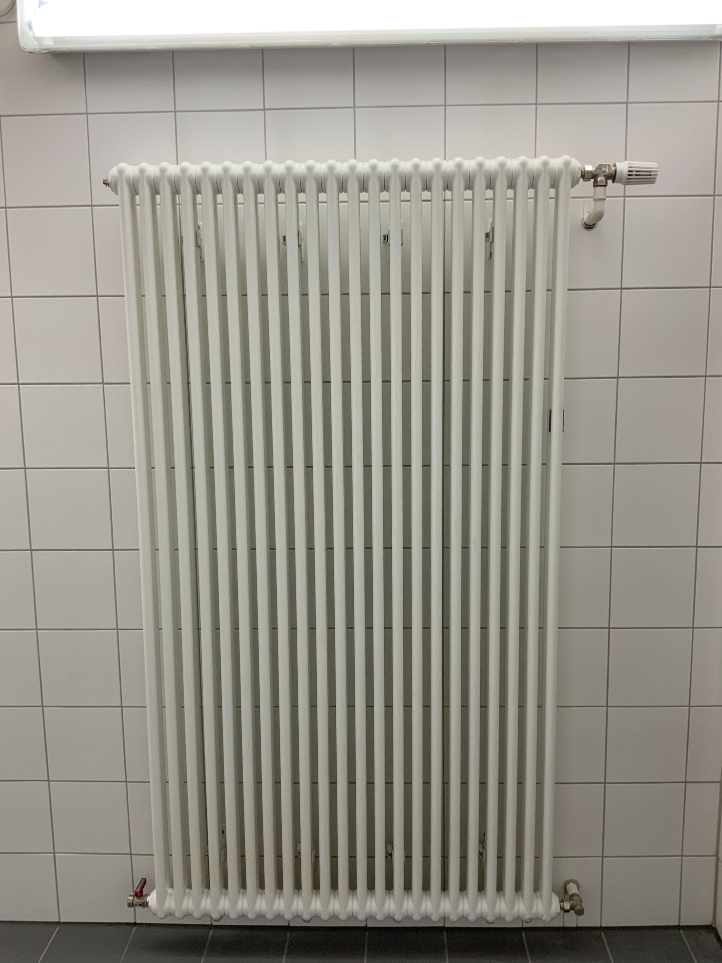 2 Säulen-Heizkörper - Stahl 98x180x6.5 cm