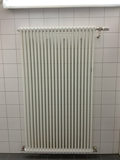 2 Säulen-Heizkörper - Stahl 98x180x6.5 cm