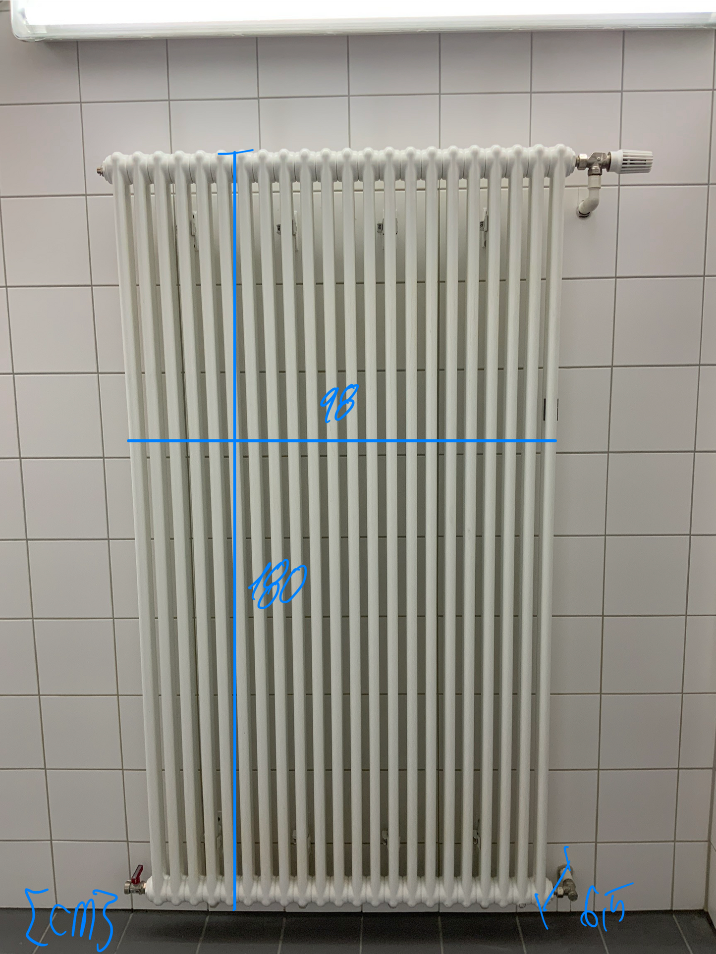 2 Säulen-Heizkörper - Stahl 98x180x6.5 cm