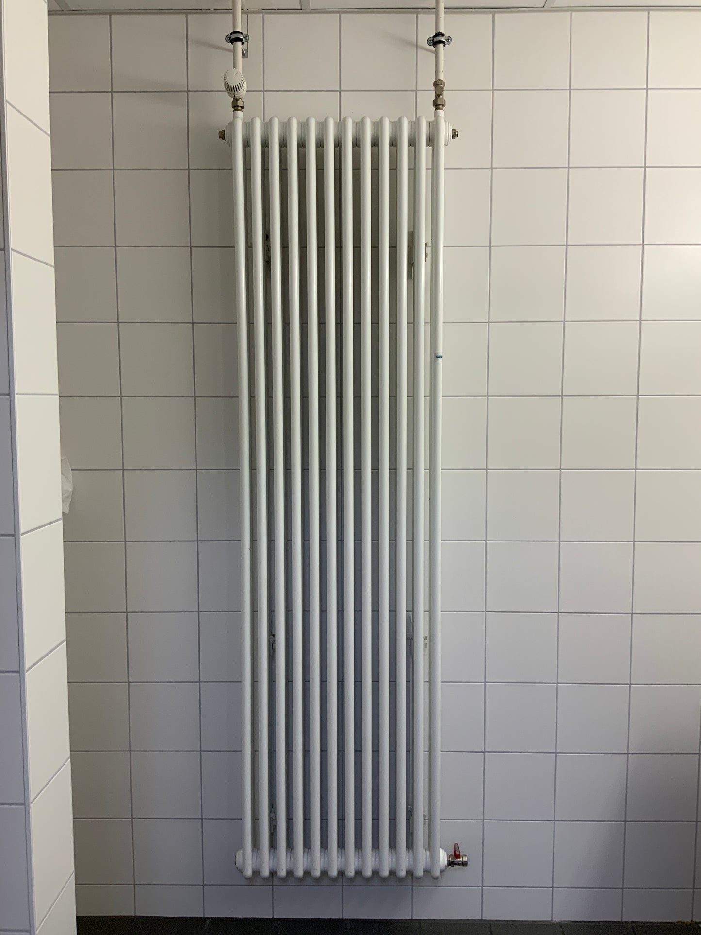 Delonghi 3 Säulen-Heizkörper - Stahl  53x200x11 cm
