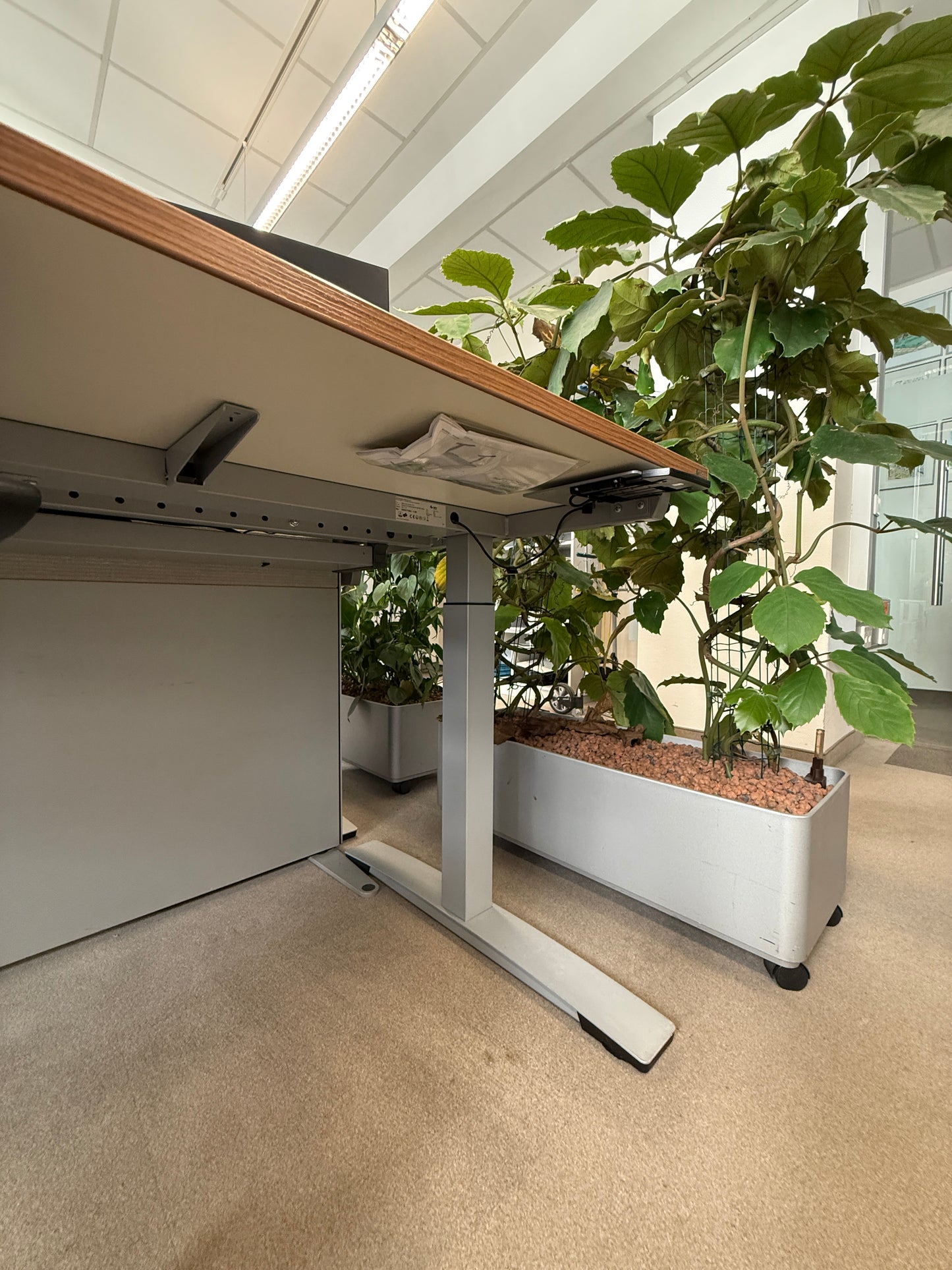 Tisch elektr. höhenverstellbar OKA - 180x80x72cm