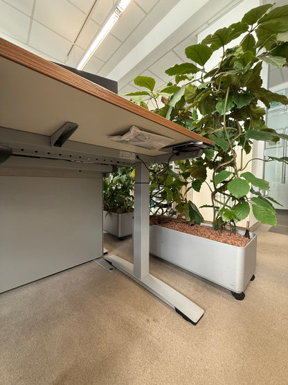 Tisch elektr. höhenverstellbar OKA - 180x80x72cm