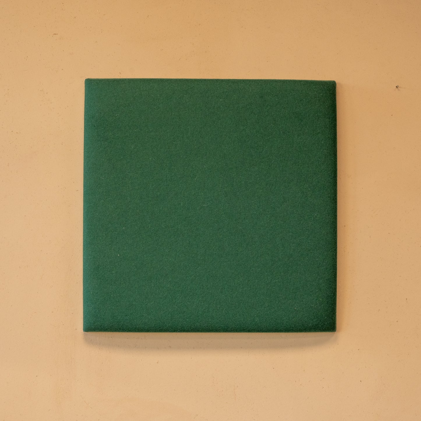 Akustikpaneel silentec colorPAD Modell: flat (magnetische Befestigung)