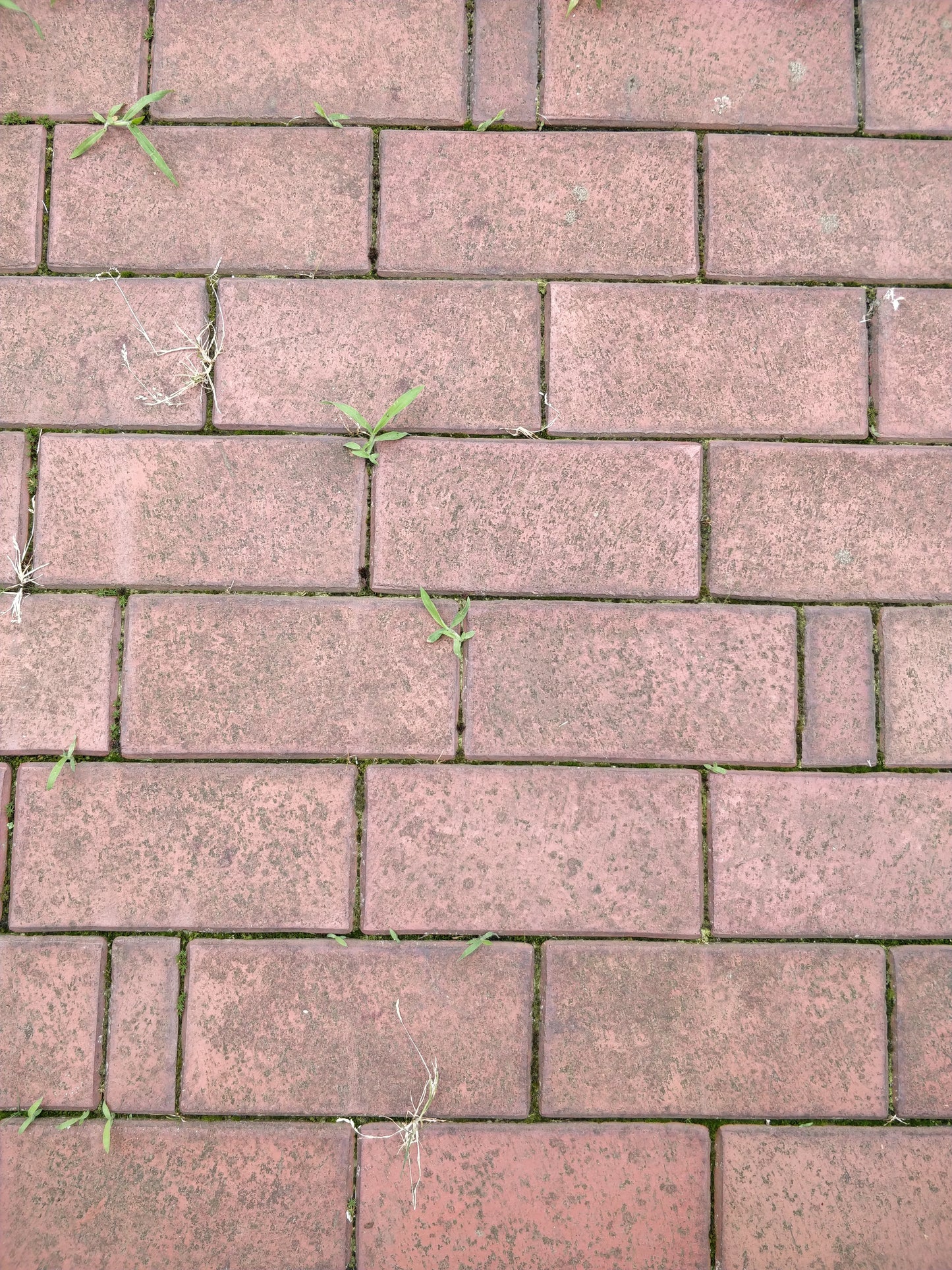 Ziegel Terrassenbelag - Concular - Gebrauchte Baumaterialien kaufen