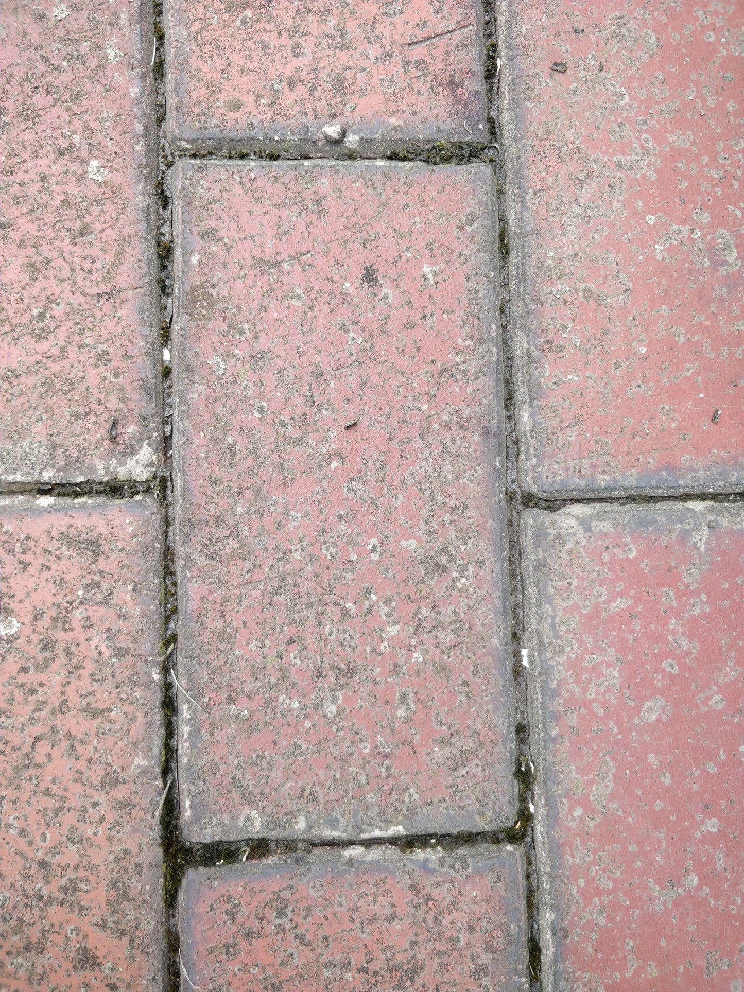 Ziegel Terrassenbelag - Concular - Gebrauchte Baumaterialien kaufen